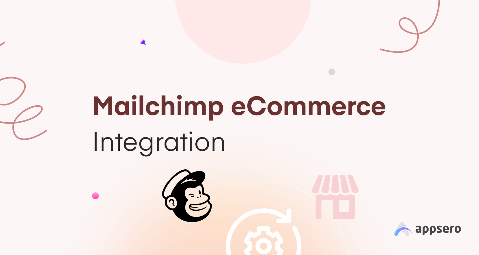 Mailchimp eCommerce Integration Appsero Feature