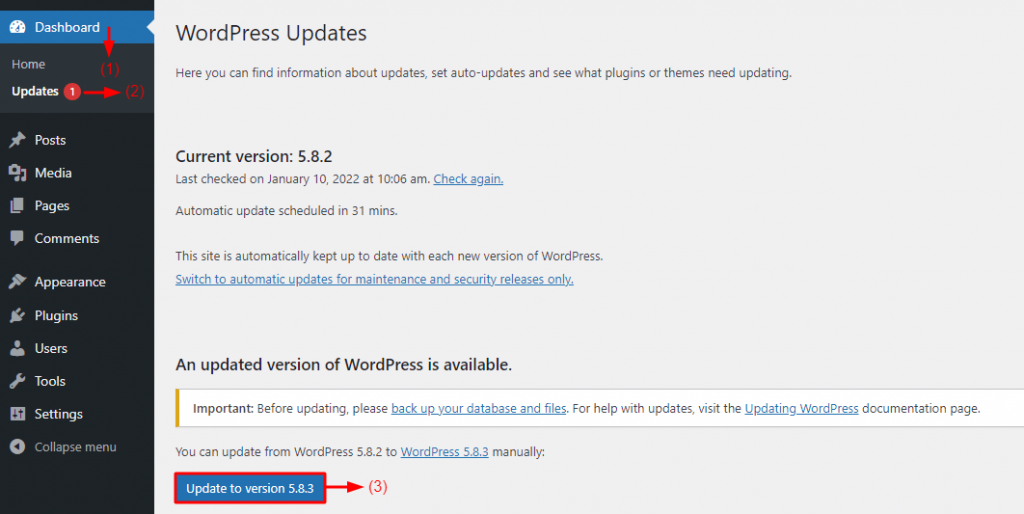 Re-install the latest WordPress Version