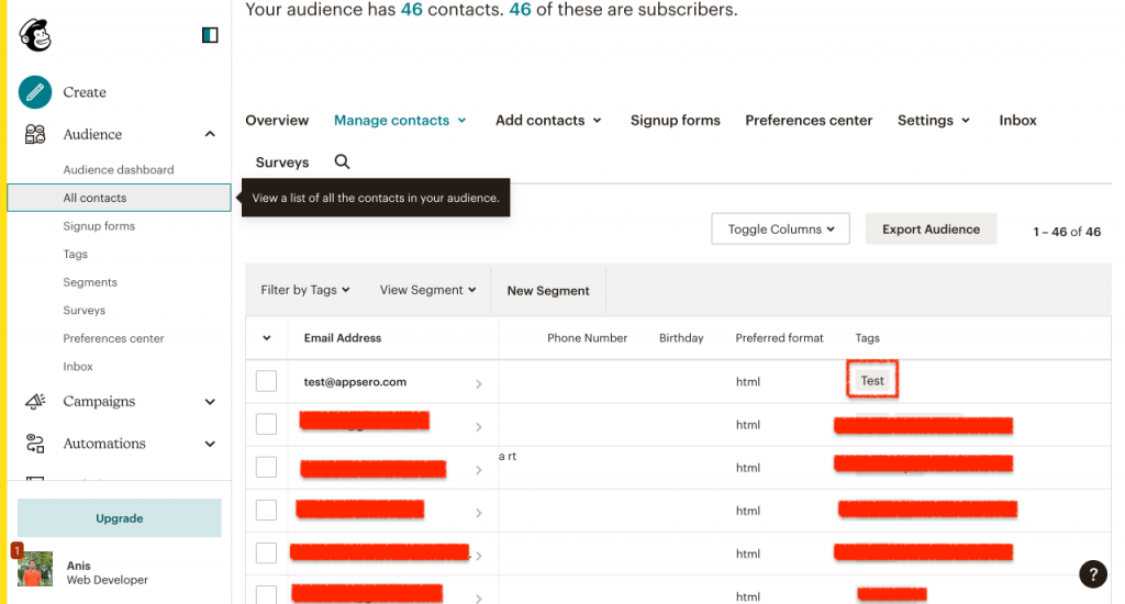 Check Mailchimp Tag in Your Account